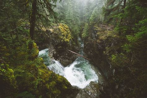 482669 Forest Vancouver Island Trees Waterfall River Landscape