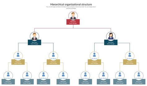 Demo Start Organizational Structure Company Structure Org Chart