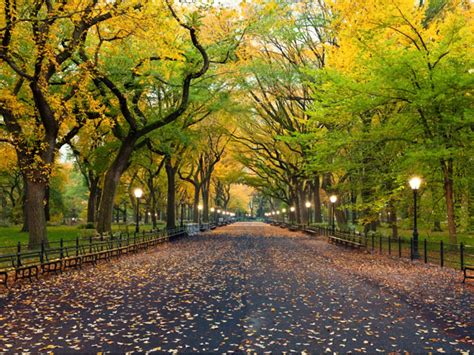 Central Park New York Map Facts Location Hours