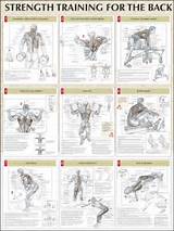Strength Training Exercises No Weights