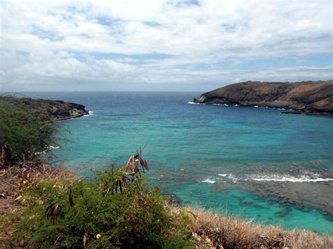 Hanauma Bay Nature Preserve Best Snorkeling On Oahu