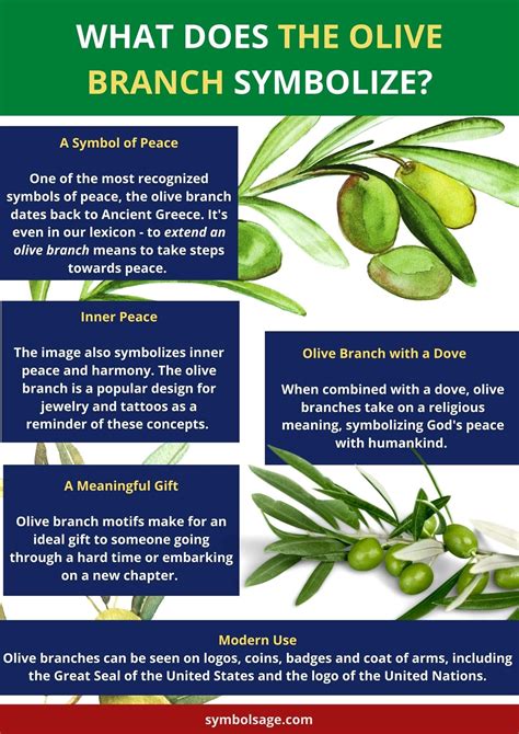 What Does The Olive Branch Symbolize Olive Branch Meaning Olive