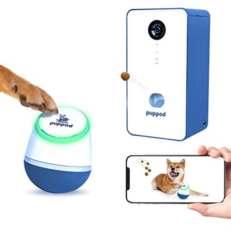 The Best Smart Home Pet Products Cameras Toys Collars And More