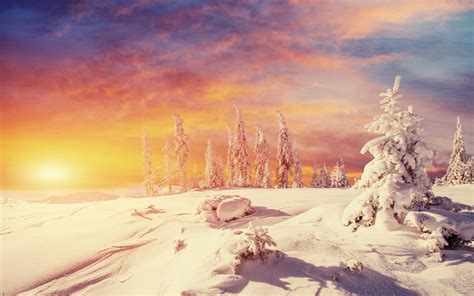 The Magic Of Winter Snow White Snow Cover Trees Sunset Orange Sky Red