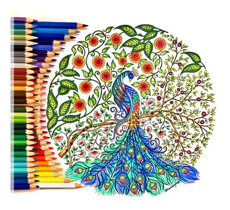 Secret Garden Coloring Pages Completed Contract