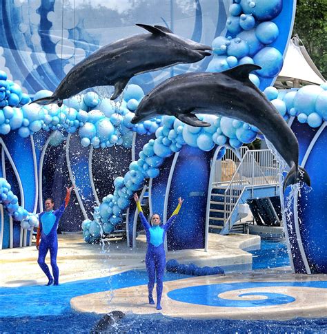 Pictures Sneak Peek At Seaworld Orlandos New Dolphin Days Orlando