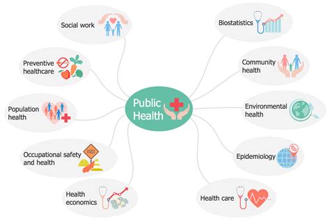 Public Health Workflow Diagram Examples Health Sciences Public
