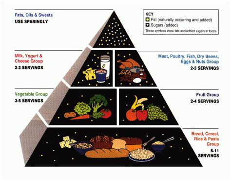 Vegetables and fruits), foods that can be swapped for one another within food groups (e.g. Pyramide alimentaire — Wikipédia