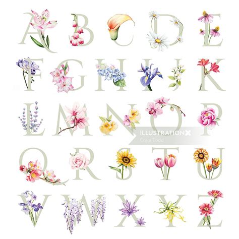 Flower Alphabet Illustration By Enya Todd