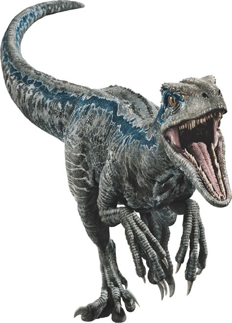 Jurassic Park Png Velociraptor Blue Png Cliparts And Cartoons Jingfm Porn Sex Picture