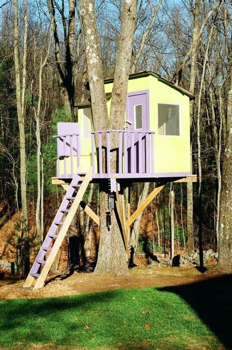 Kauri Treehouse Plans To Build In One Tree Or Free Standing Tree