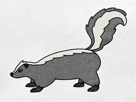 How To Draw A Skunk Helloartsy