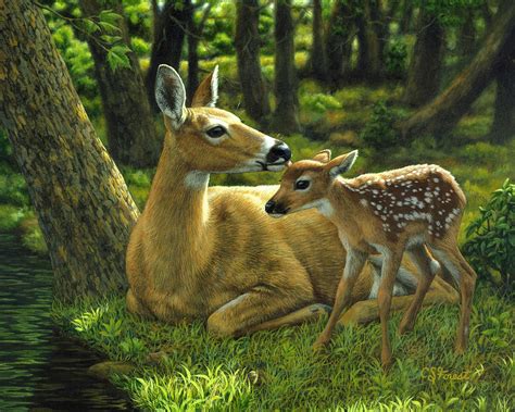Whitetail Deer First Spring Painting By Crista Forest Fine Art America