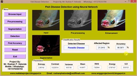 Matlab Code For Fish Disease Detection Using Neural Network Excellent Project Solution