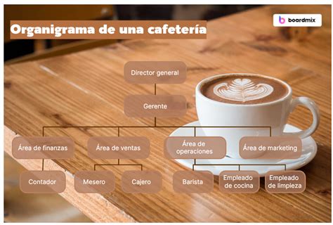 Descubra el organigrama de una cafetería descripción detallada de los