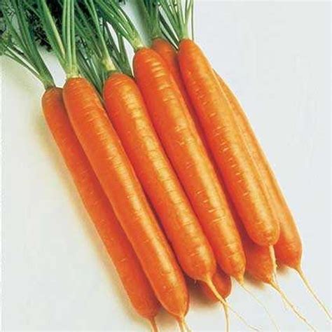 Ship From Us 200 Seeds Napoli F1 Carrot Seeds Diy Healthy Vegetable
