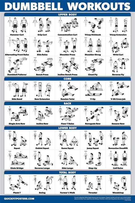 Buy Quickfit Dumbbell Workouts And Exercise Ball Poster Set Laminated Chart Set Dumbbell