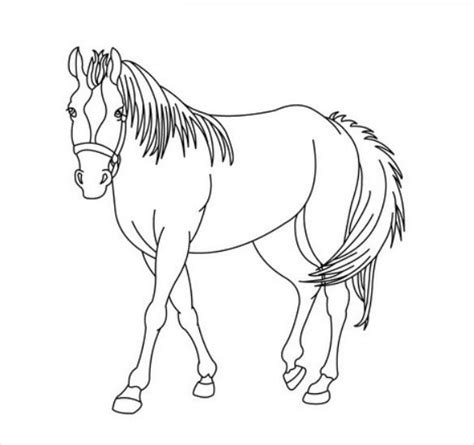Download 22+ Animal Coloring Pages - PSD, AI, Vector EPS | Free ...