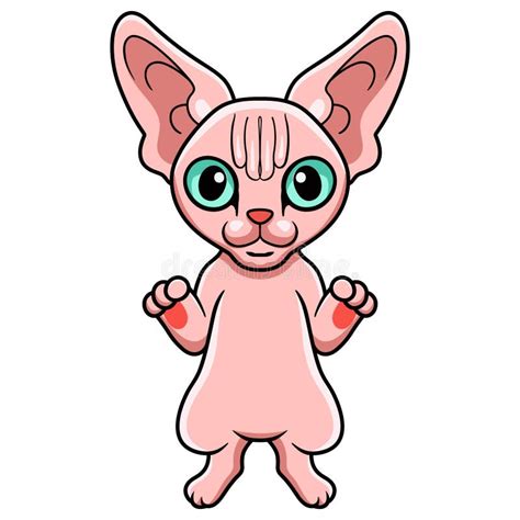 Cute Sphynx Cat Cartoon Standing Stock Illustration Illustration Of