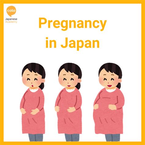 Pregnancy In Japan Key Vocabulary And Information About Giving Birth In Tokyo Coto Academy