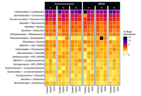 Heatmap Showing The Top Dominant Bacterial Genera From Download Scientific Diagram