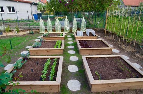 Comment réaliser un joli carré potager Conseils Jardin Willemse Hot