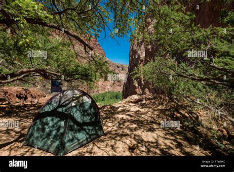 Havasupai Campground Hi Res Stock Photography And Images Alamy