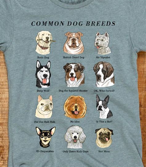 Common Dog Breeds Funny Womens Cottonpoly T Shirt Headline Shirts