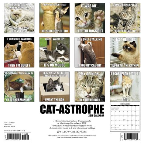 Cat Astrophe Wall Calendar Funny Cats By Calendars Tanga