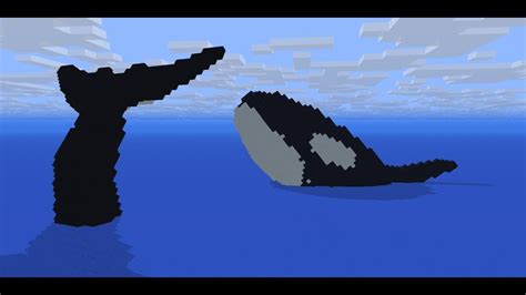 A place to gather all humpback whale photographs. Pod Of Orcas | Minecraft Animation - YouTube