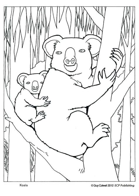 77 Dessins De Coloriage Koala à Imprimer Sur Page 6