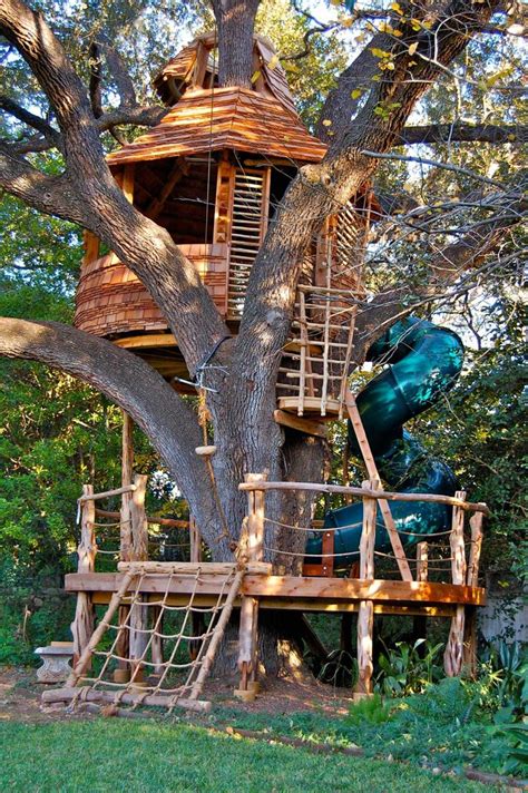Sa Treehouse Creator Shares His Work With The Master Tree House