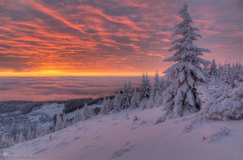 Beautiful Winter Sunrise Image Awarded Photo Of The Week