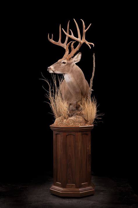 10 Deer Mount Decorating Ideas
