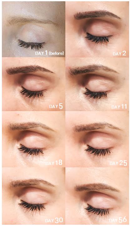 Microblading Healing Process When Will I See The Final Results 833