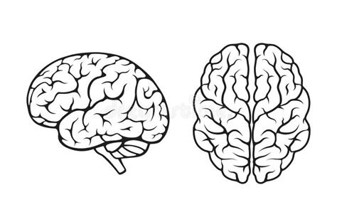 Human Brain Icon Set Side And Top View Mind Sychology And Neurology