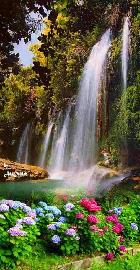The Waterfall Is Surrounded By Colorful Flowers And Greenery