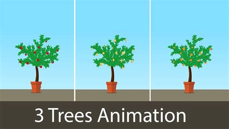 2d Growing Plant Animation After Effects Template 🌳🌳🌳 Youtube