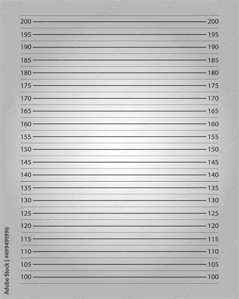 Police Mugshot Background With Centimeters Height Chart And Lighting