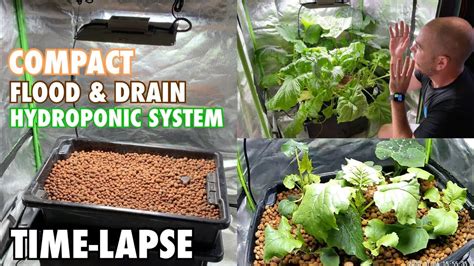 Compact Flood And Drain Hydroponic System Time Lapse Grow Youtube