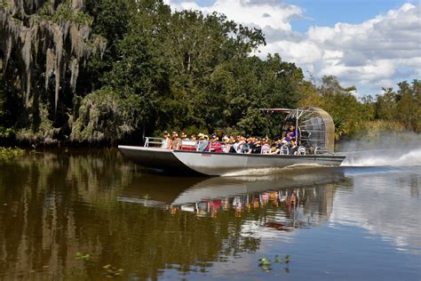 New Orleans Swamp Tours Alligator Tour Airboat Adventures
