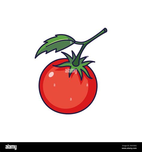Cute Tomato Cartoon Icon Illustration Food Vegetable Flat Icon Concept