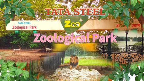 Zoological Park Tata Steel Jamshedpur Youtube