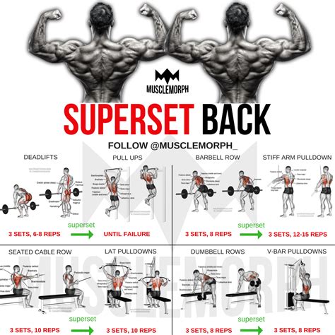 Superset Back Back Workout Bodybuilding Gym Musclemorph Https
