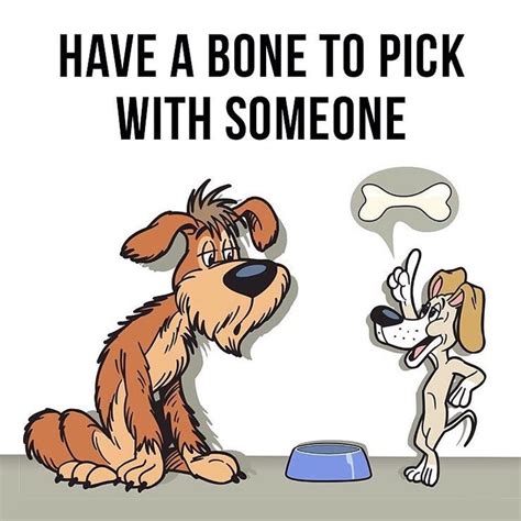 Have a Bone to Pick With Someone Vocabulário em inglês Gramatica