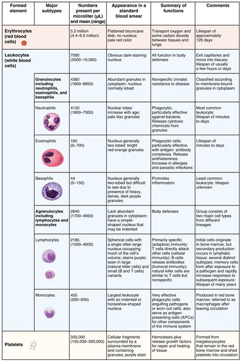 Classification Types Of Anemia Chart