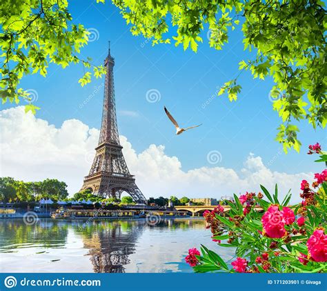 Eiffel Tower And Flowers Stock Image Image Of Park 171203901