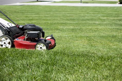How Often Should You Mow The Lawn The Turfgrass Group Inc