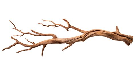 Dry Wood Branch Isolated On Transparent Background Ai Generated