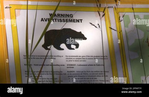 Grizzly Bear Warning Sign Stock Videos And Footage Hd And 4k Video
